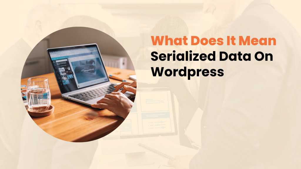 What Does It Mean Serialized Data on Wordpress